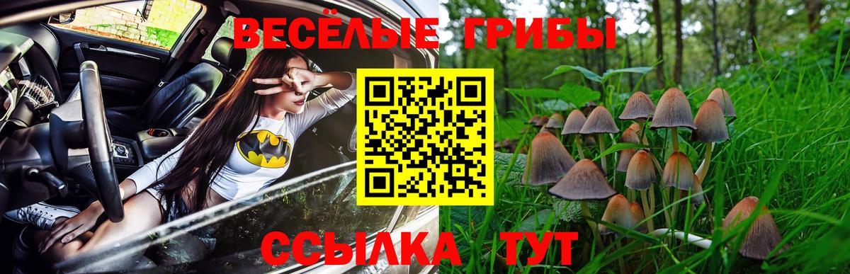 КОКАИН  ЭКСТАЗИ  МАРИХУАНА  Меф МЯУ МЯУ  Вход с VPN  Северск  ГАШИШ  Мефедрон  