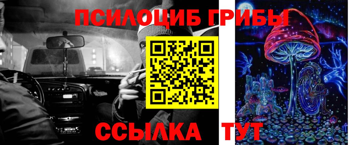 Галлюциногенные грибы Psilocybe  Галлюциногенные грибы ЛСД  как найти наркотики  Вход с VPN  Северск 